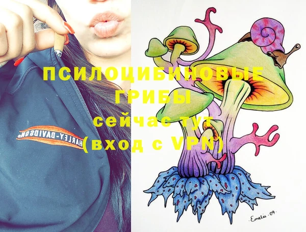прущие грибы Алзамай