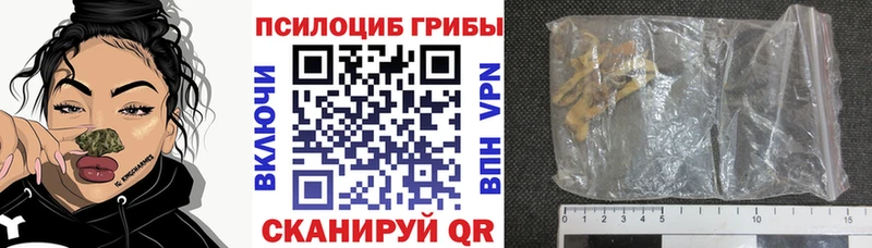 закладки  hydra ссылка  Галлюциногенные грибы мицелий  Балабаново 